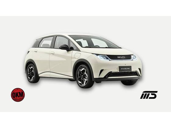 BYD DOLPHIN 44,9 KW ELÉTRICO GS BYD DOLPHIN 44,9 KW ELÉTRICO GS